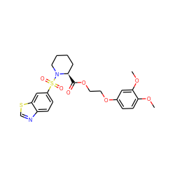 COc1ccc(OCCOC(=O)[C@@H]2CCCCN2S(=O)(=O)c2ccc3ncsc3c2)cc1OC ZINC000084708740