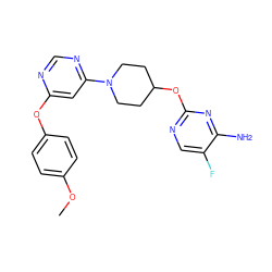 COc1ccc(Oc2cc(N3CCC(Oc4ncc(F)c(N)n4)CC3)ncn2)cc1 ZINC000049032558