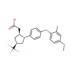 COc1ccc(Oc2ccc(N3C[C@@H](C(F)(F)F)C[C@H]3CC(=O)O)cc2)c(C)c1 ZINC000068267373