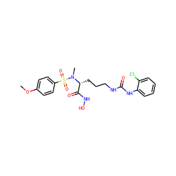 COc1ccc(S(=O)(=O)N(C)[C@H](CCCNC(=O)Nc2ccccc2Cl)C(=O)NO)cc1 ZINC000026180267