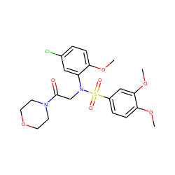 COc1ccc(S(=O)(=O)N(CC(=O)N2CCOCC2)c2cc(Cl)ccc2OC)cc1OC ZINC000000817119