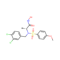 COc1ccc(S(=O)(=O)N(Cc2ccc(Cl)c(Cl)c2)[C@H](C)C(=O)NO)cc1 ZINC000013440818