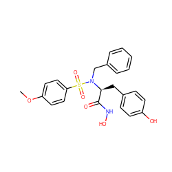 COc1ccc(S(=O)(=O)N(Cc2ccccc2)[C@@H](Cc2ccc(O)cc2)C(=O)NO)cc1 ZINC000013764144