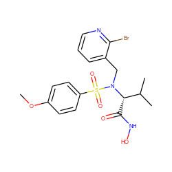 COc1ccc(S(=O)(=O)N(Cc2cccnc2Br)[C@@H](C(=O)NO)C(C)C)cc1 ZINC000028865138