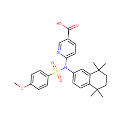 COc1ccc(S(=O)(=O)N(c2ccc3c(c2)C(C)(C)CCC3(C)C)c2ccc(C(=O)O)cn2)cc1 ZINC000040896500