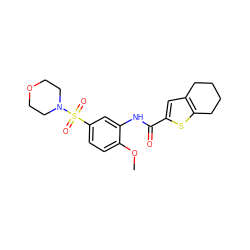 COc1ccc(S(=O)(=O)N2CCOCC2)cc1NC(=O)c1cc2c(s1)CCCC2 ZINC000008692951