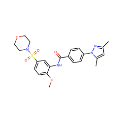 COc1ccc(S(=O)(=O)N2CCOCC2)cc1NC(=O)c1ccc(-n2nc(C)cc2C)cc1 ZINC000009613361