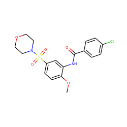 COc1ccc(S(=O)(=O)N2CCOCC2)cc1NC(=O)c1ccc(Cl)cc1 ZINC000004502532