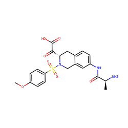 COc1ccc(S(=O)(=O)N2Cc3cc(NC(=O)[C@H](C)N)ccc3C[C@H]2C(=O)C(=O)O)cc1 ZINC000027519923