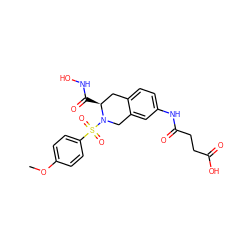 COc1ccc(S(=O)(=O)N2Cc3cc(NC(=O)CCC(=O)O)ccc3C[C@@H]2C(=O)NO)cc1 ZINC000003939393