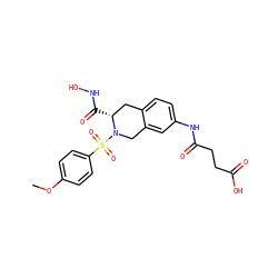 COc1ccc(S(=O)(=O)N2Cc3cc(NC(=O)CCC(=O)O)ccc3C[C@H]2C(=O)NO)cc1 ZINC000001546428