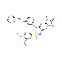 COc1ccc(S(=O)(=O)Nc2cc3c(cc2Oc2cccc(OCc4ccccc4)c2)n(C)c(=O)n3C)cc1OC ZINC000263620865