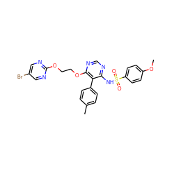 COc1ccc(S(=O)(=O)Nc2ncnc(OCCOc3ncc(Br)cn3)c2-c2ccc(C)cc2)cc1 ZINC000026994889