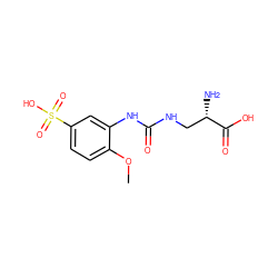 COc1ccc(S(=O)(=O)O)cc1NC(=O)NC[C@H](N)C(=O)O ZINC000149298196