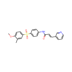 COc1ccc(S(=O)(=O)c2ccc(NC(=O)/C=C/c3cccnc3)cc2)cc1C ZINC000142186068