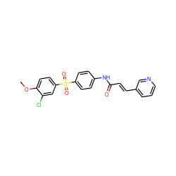 COc1ccc(S(=O)(=O)c2ccc(NC(=O)/C=C/c3cccnc3)cc2)cc1Cl ZINC000142188654