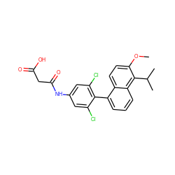 COc1ccc2c(-c3c(Cl)cc(NC(=O)CC(=O)O)cc3Cl)cccc2c1C(C)C ZINC000028526439