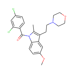 COc1ccc2c(c1)c(CCN1CCOCC1)c(C)n2C(=O)c1ccc(Cl)cc1Cl ZINC000299858771