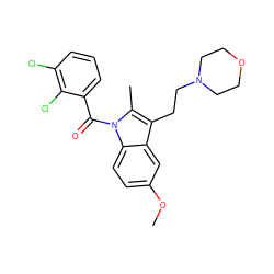 COc1ccc2c(c1)c(CCN1CCOCC1)c(C)n2C(=O)c1cccc(Cl)c1Cl ZINC000026381513