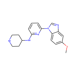 COc1ccc2c(c1)ncn2-c1cccc(NC2CCNCC2)n1 ZINC000029044966