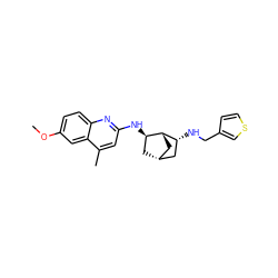 COc1ccc2nc(N[C@@H]3C[C@@H]4C[C@H]3[C@H](NCc3ccsc3)C4)cc(C)c2c1 ZINC000028950864