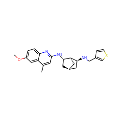 COc1ccc2nc(N[C@H]3C[C@@H]4C[C@H](NCc5ccsc5)[C@H]3C4)cc(C)c2c1 ZINC000028950865