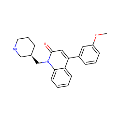 COc1cccc(-c2cc(=O)n(C[C@@H]3CCCNC3)c3ccccc23)c1 ZINC000095586209
