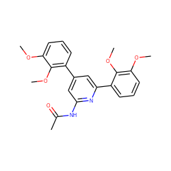 COc1cccc(-c2cc(NC(C)=O)nc(-c3cccc(OC)c3OC)c2)c1OC ZINC001772585076