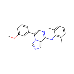 COc1cccc(-c2cnc(Nc3c(C)cccc3C)c3cncn23)c1 ZINC000013981058