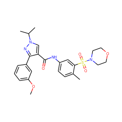 COc1cccc(-c2nn(C(C)C)cc2C(=O)Nc2ccc(C)c(S(=O)(=O)N3CCOCC3)c2)c1 ZINC000169340222