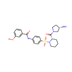 COc1cccc(C(=O)Nc2ccc(S(=O)(=O)N3CCCC[C@H]3C(=O)N3CC[C@H](N)C3)cc2)c1 ZINC000040935828