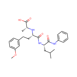 COc1cccc(CC[C@H](N[C@H](C)C(=O)O)C(=O)N[C@@H](CC(C)C)C(=O)Nc2ccccc2)c1 ZINC000026475845