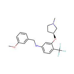 COc1cccc(CNc2ccc(C(F)(F)F)c(O[C@H]3CCN(C)C3)c2)c1 ZINC000095602605