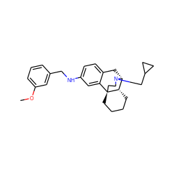 COc1cccc(CNc2ccc3c(c2)[C@@]24CCCC[C@H]2[C@@H](C3)N(CC2CC2)CC4)c1 ZINC000084669409