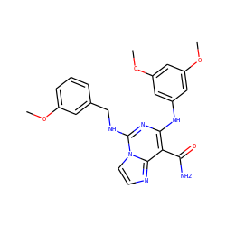 COc1cccc(CNc2nc(Nc3cc(OC)cc(OC)c3)c(C(N)=O)c3nccn23)c1 ZINC000040866712