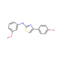 COc1cccc(Nc2nc(-c3ccc(O)cc3)cs2)c1 ZINC000000613422