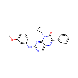 COc1cccc(Nc2ncc3nc(-c4ccccc4)c(=O)n(C4CC4)c3n2)c1 ZINC000004238449