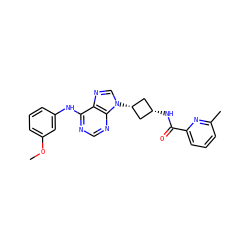 COc1cccc(Nc2ncnc3c2ncn3[C@H]2C[C@@H](NC(=O)c3cccc(C)n3)C2)c1 ZINC001772570409