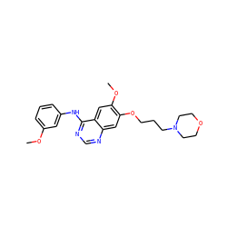 COc1cccc(Nc2ncnc3cc(OCCCN4CCOCC4)c(OC)cc23)c1 ZINC000013559408