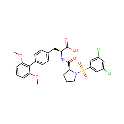 COc1cccc(OC)c1-c1ccc(C[C@H](NC(=O)[C@@H]2CCCN2S(=O)(=O)c2cc(Cl)cc(Cl)c2)C(=O)O)cc1 ZINC000026643170