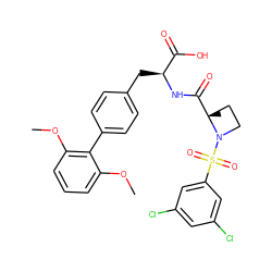 COc1cccc(OC)c1-c1ccc(C[C@H](NC(=O)[C@]2(C)CCN2S(=O)(=O)c2cc(Cl)cc(Cl)c2)C(=O)O)cc1 ZINC000026388306