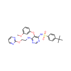 COc1cccc(Oc2c(NCCOc3ncccn3)ncnc2NS(=O)(=O)c2ccc(C(C)(C)C)cc2)c1 ZINC000028110665