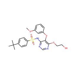 COc1cccc(Oc2c(NS(=O)(=O)c3ccc(C(C)(C)C)cc3)ncnc2OCCO)c1 ZINC000001535471