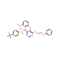 COc1cccc(Oc2c(NS(=O)(=O)c3ccc(C(C)(C)C)cc3)ncnc2OCCOc2ccccc2)c1 ZINC000026995752