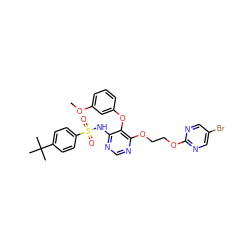 COc1cccc(Oc2c(NS(=O)(=O)c3ccc(C(C)(C)C)cc3)ncnc2OCCOc2ncc(Br)cn2)c1 ZINC000027079245