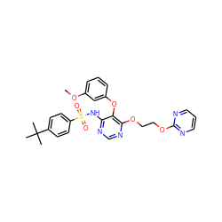 COc1cccc(Oc2c(NS(=O)(=O)c3ccc(C(C)(C)C)cc3)ncnc2OCCOc2ncccn2)c1 ZINC000027082187