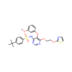 COc1cccc(Oc2c(NS(=O)(=O)c3ccc(C(C)(C)C)cc3)ncnc2OCCOc2nccs2)c1 ZINC000027077299