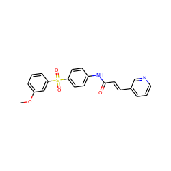 COc1cccc(S(=O)(=O)c2ccc(NC(=O)/C=C/c3cccnc3)cc2)c1 ZINC000142298787