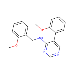 COc1ccccc1CNc1ncncc1-c1ccccc1OC ZINC000004264892