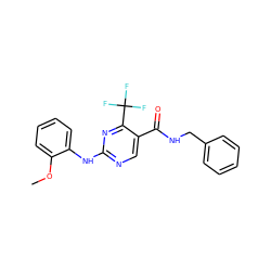 COc1ccccc1Nc1ncc(C(=O)NCc2ccccc2)c(C(F)(F)F)n1 ZINC000028645229